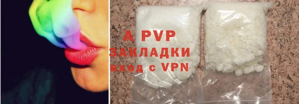 ПСИЛОЦИБИНОВЫЕ ГРИБЫ Бородино