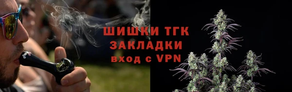 кокс Богородицк