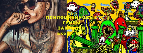 бошки Бугульма