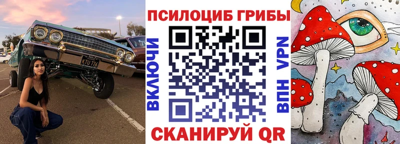 Галлюциногенные грибы прущие грибы  kraken онион  Минеральные Воды  даркнет сайт 